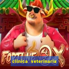 clinica veterinaria cuidar betim